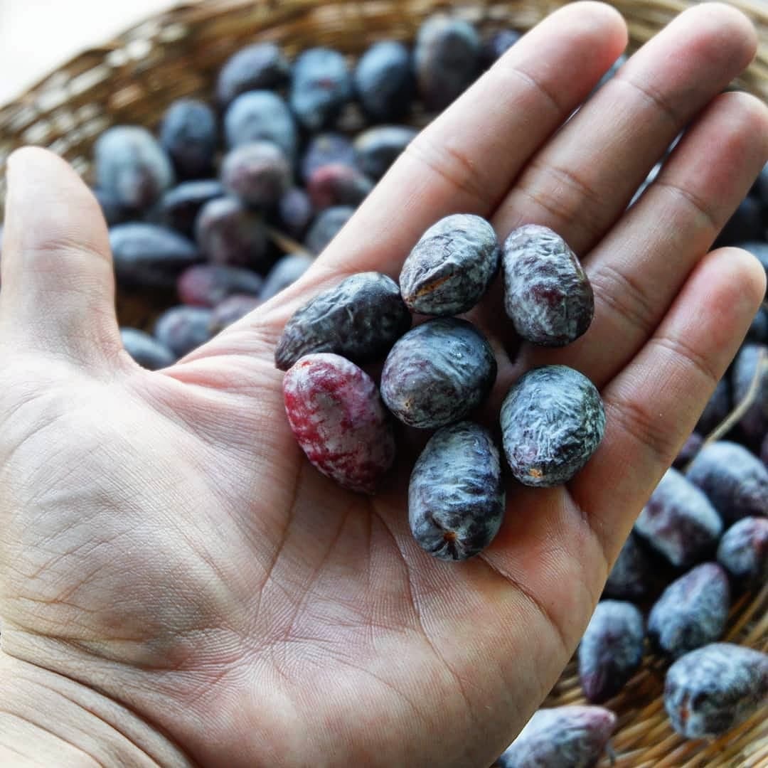 These local ingredients show that Filipino cuisine is a farreaching